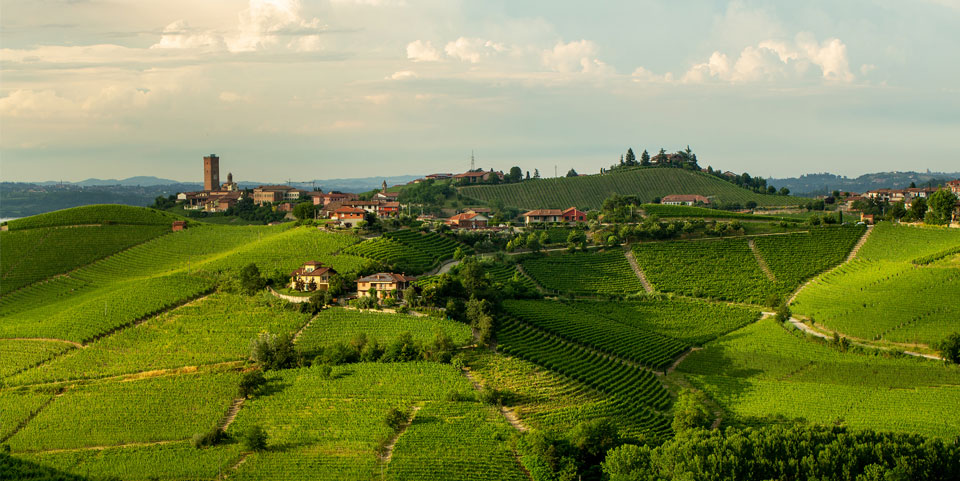 Vintage performance: the family behind one of the world’s best wines ...